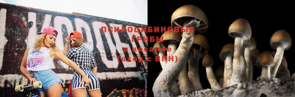 трава Алзамай