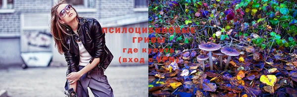 MDMA Алексеевка